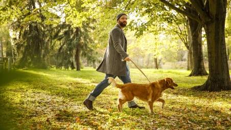 Mann geht mit Hund im Park spazieren.